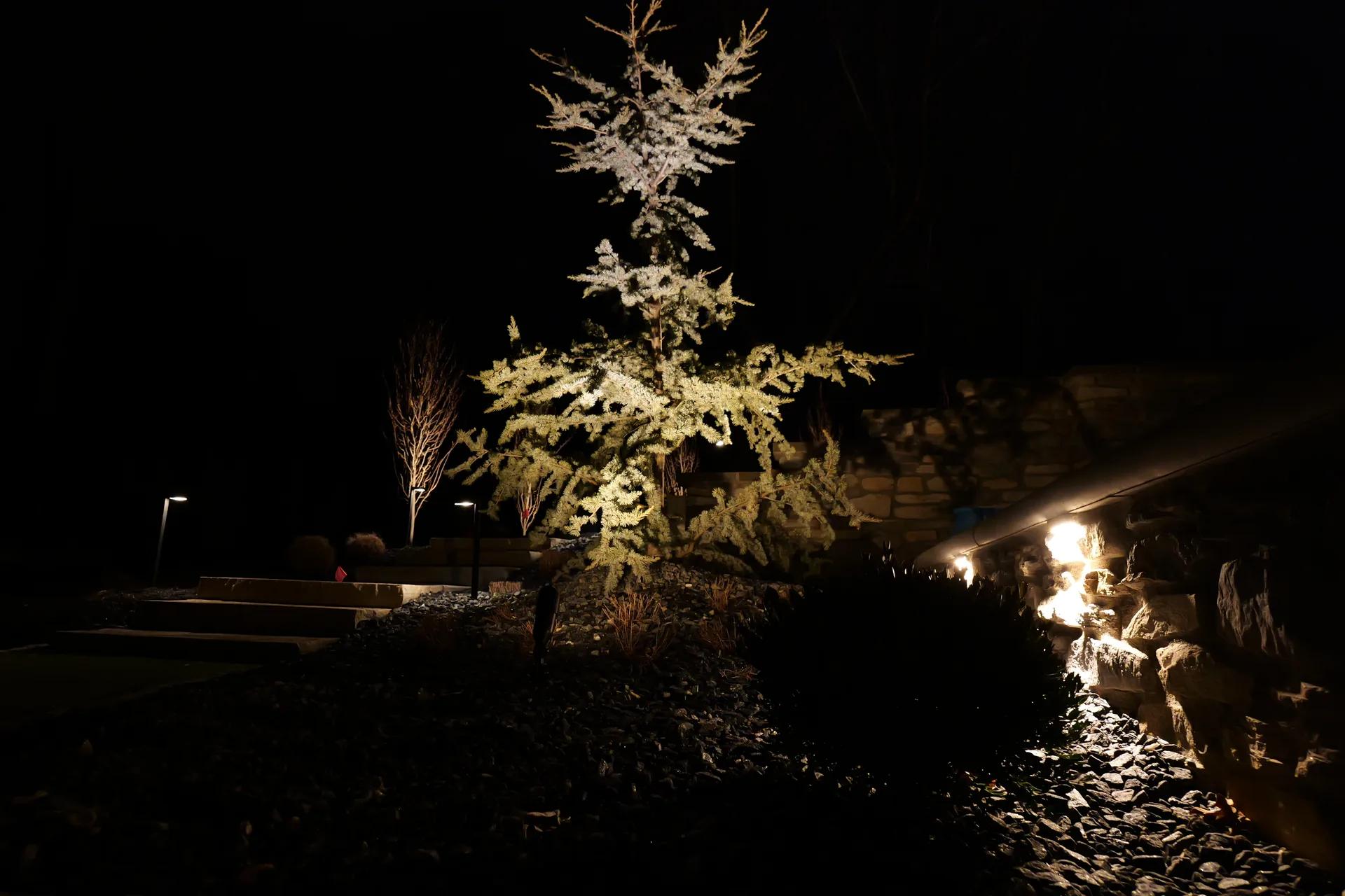 image-4